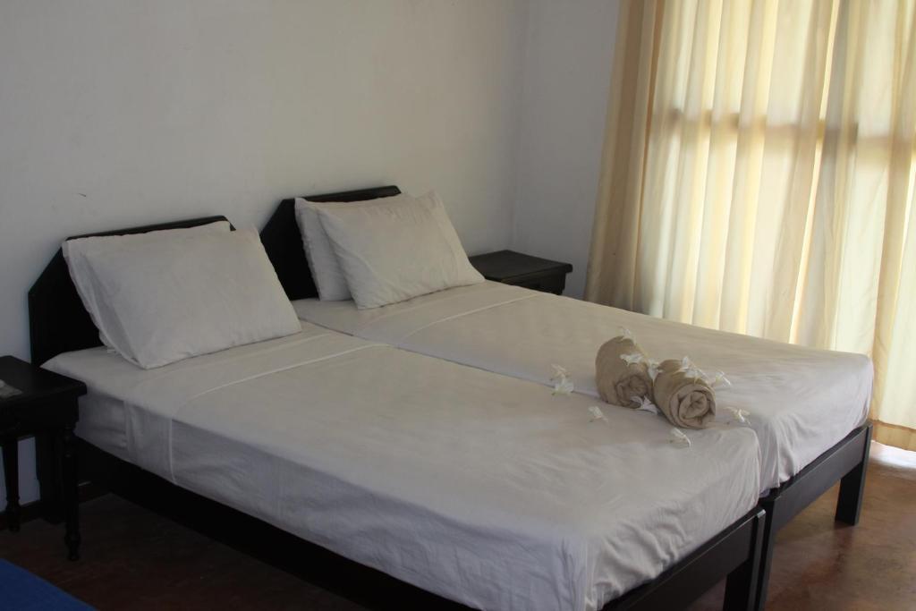 Ceylonica Beach Hotel Negombo Buitenkant foto