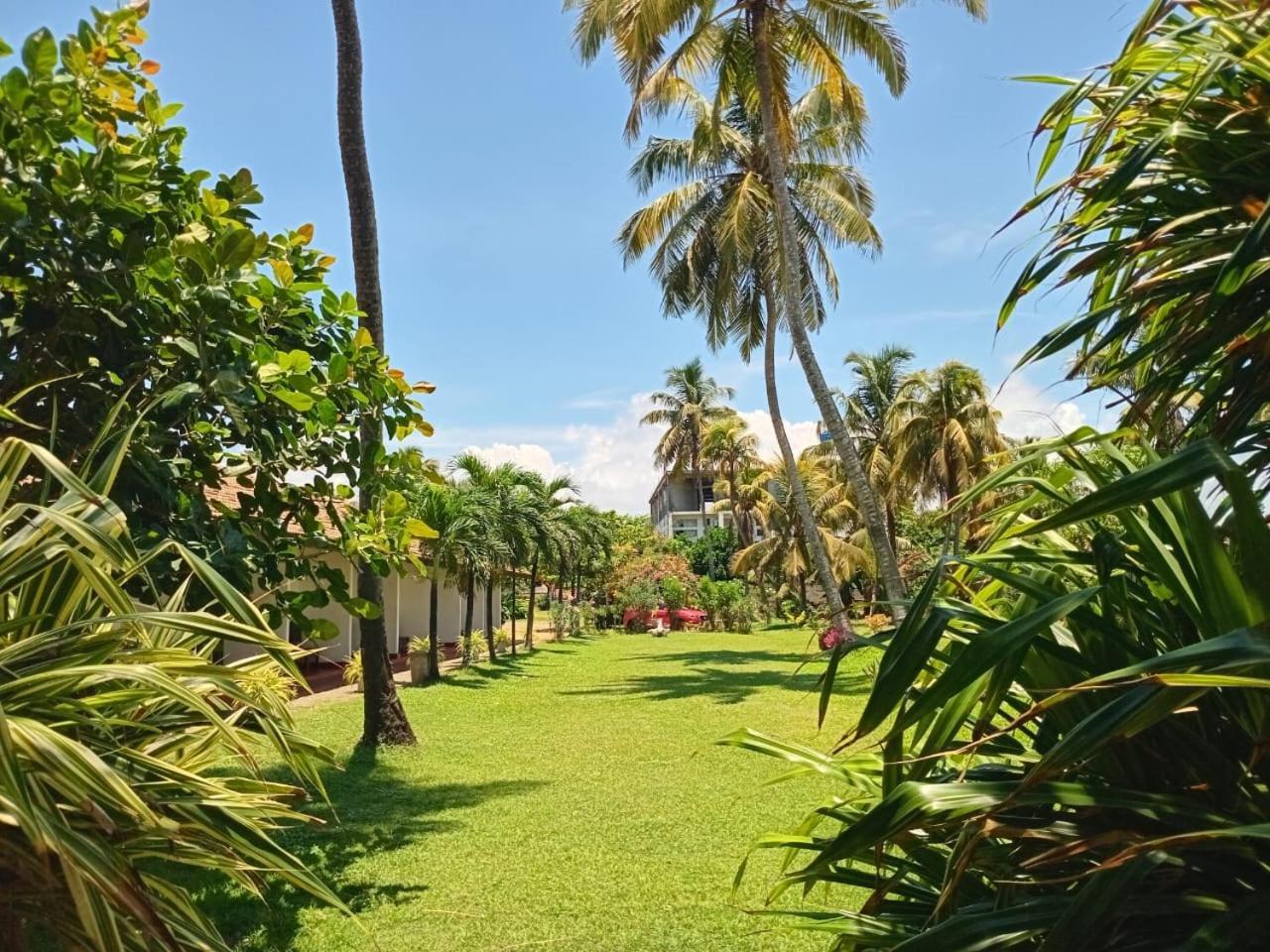 Ceylonica Beach Hotel Negombo Buitenkant foto