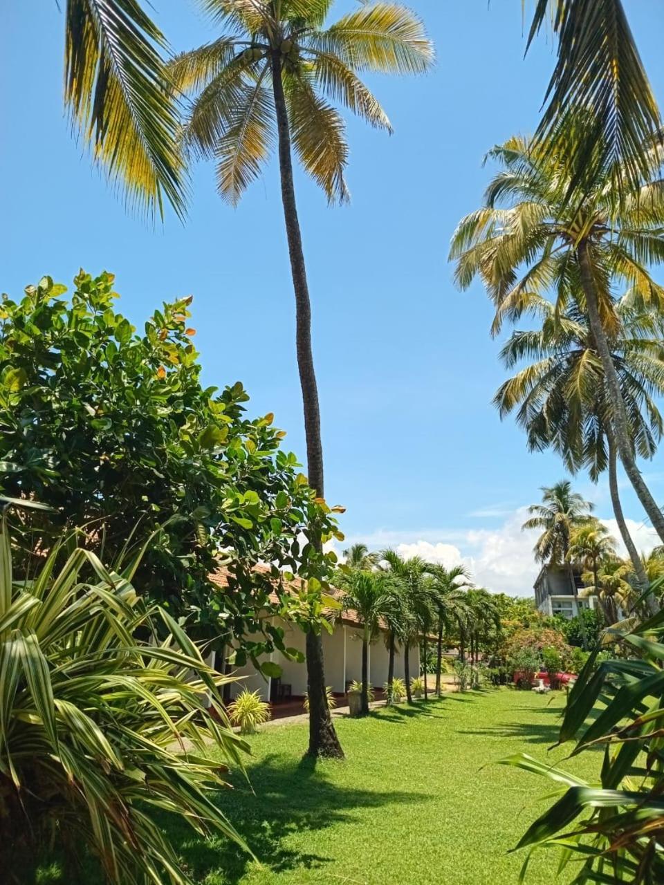 Ceylonica Beach Hotel Negombo Buitenkant foto