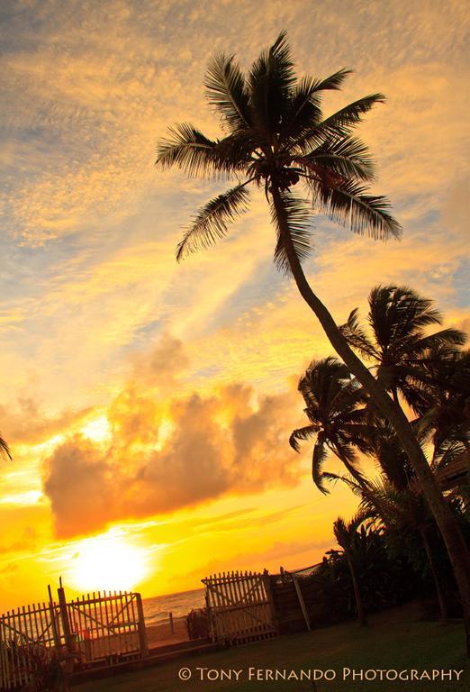 Ceylonica Beach Hotel Negombo Buitenkant foto