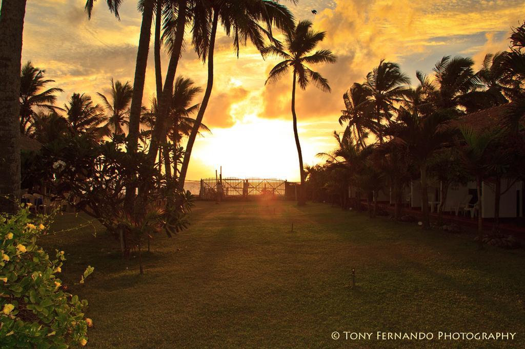 Ceylonica Beach Hotel Negombo Buitenkant foto